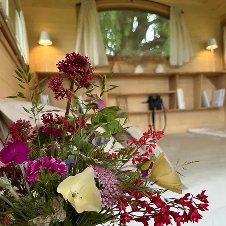 Domaine De La Valle De La Millire *